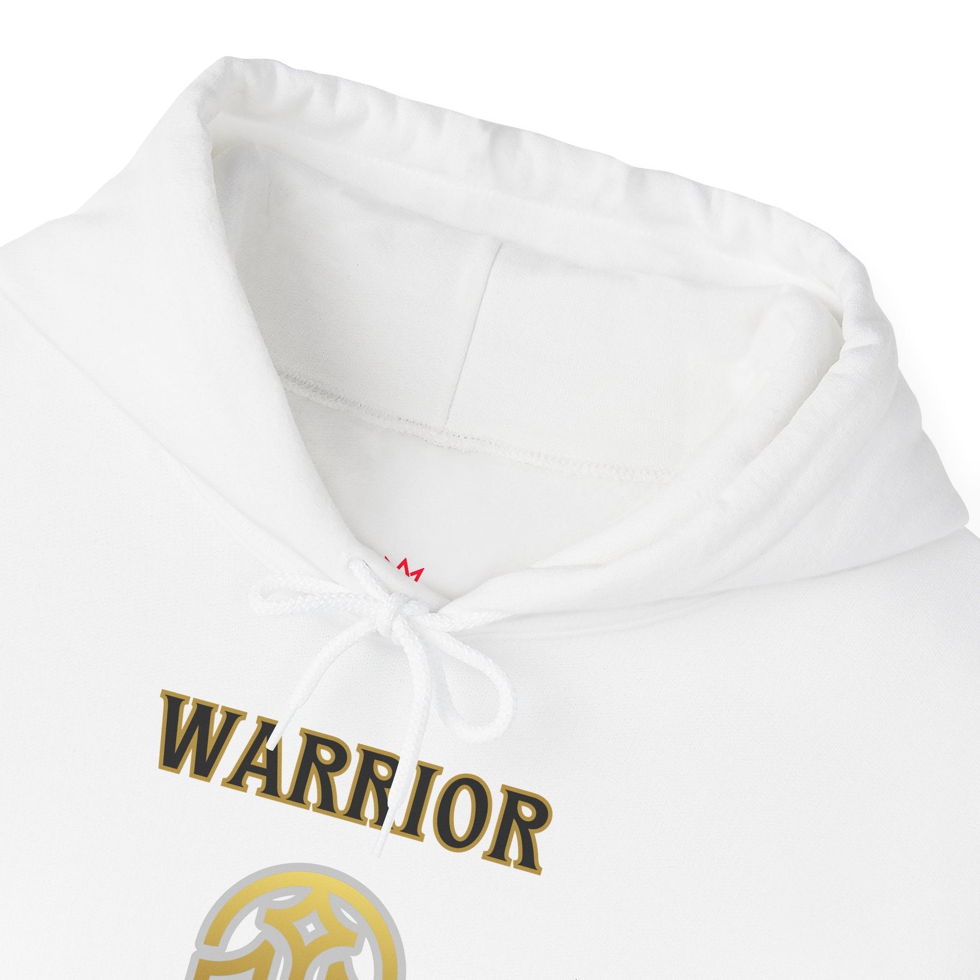 "Warrior Matthew Bible Verse Hoodie - Bold Christian Faith Statement" - Hoodie | Kingdom Outfitters
